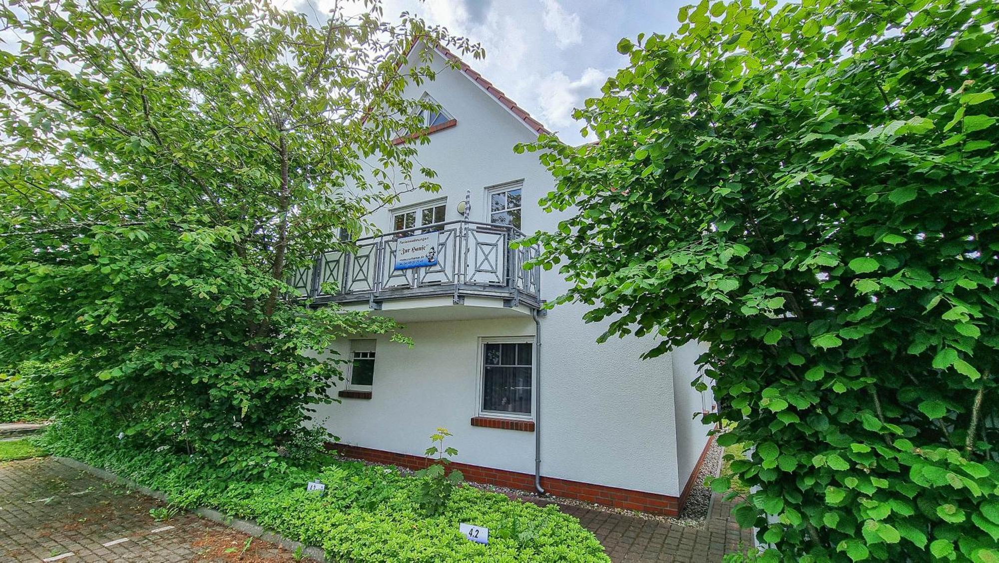 Zur Hanse Wohnung 1 3 - Lingnau Zingst Eksteriør bilde